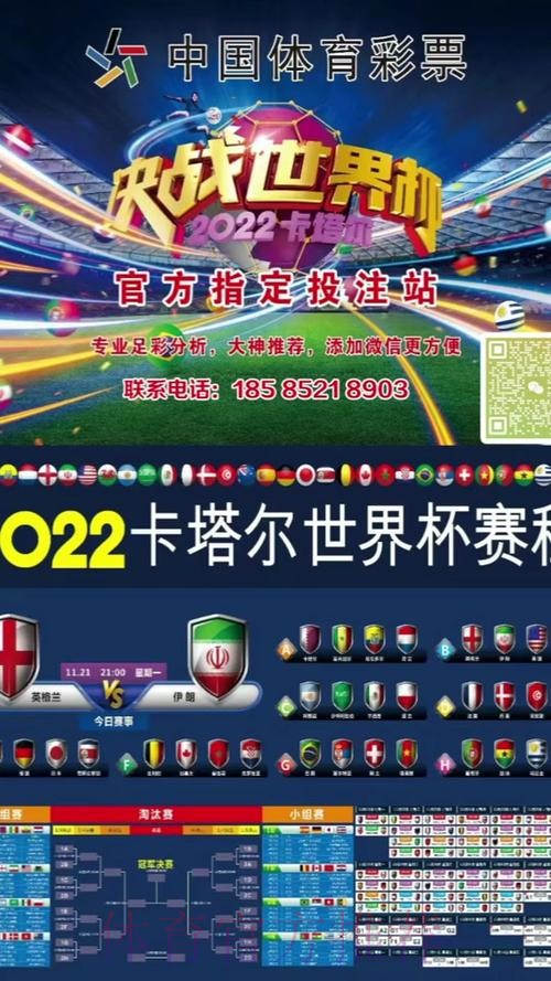 世界杯投注苹果官方